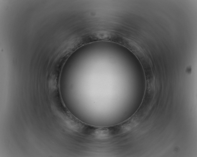 X0000093090606200709261230