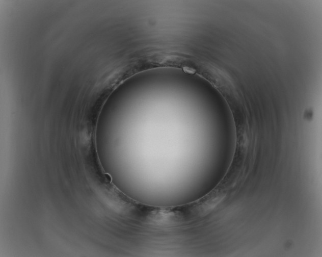 X0000093090607200709261230