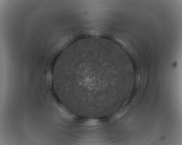 X0000093090609200709261230