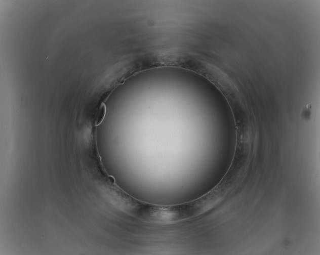 X0000093090610200709261230