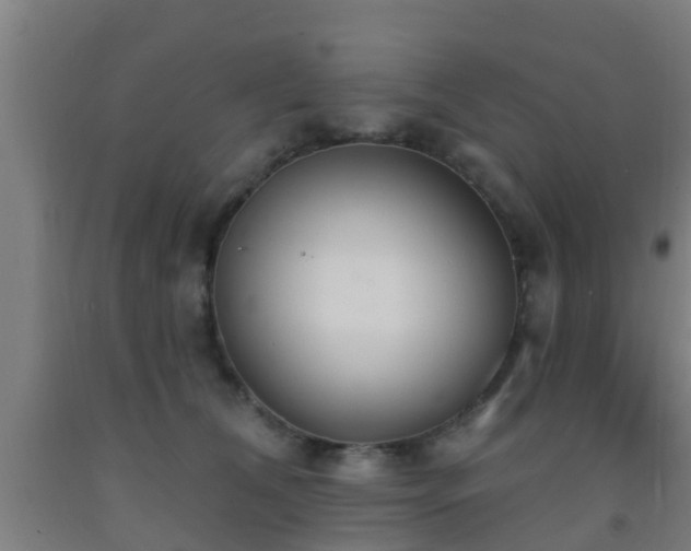X0000093090612200709261230