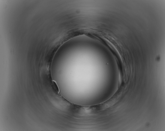 X0000093090613200709261230