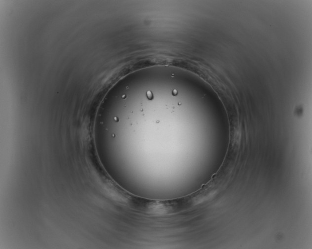 X0000093090616200709261230