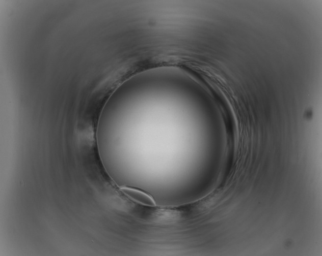 X0000093090617200709261230