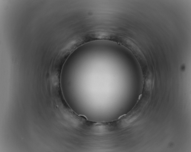 X0000093090620200709261230