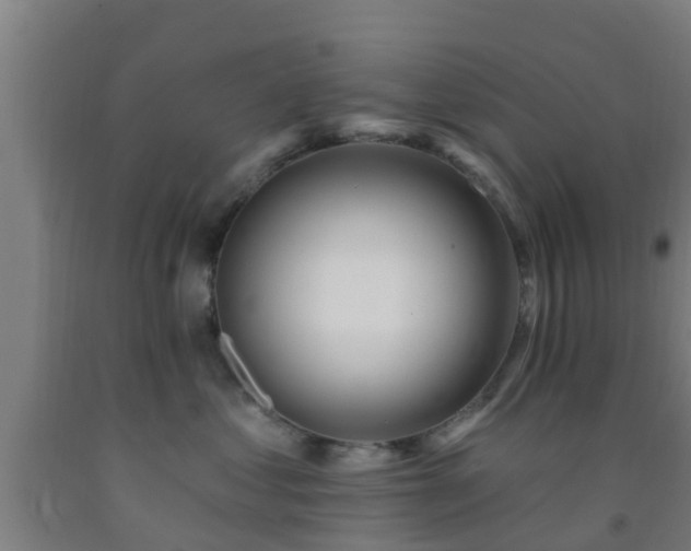 X0000093090621200709261230