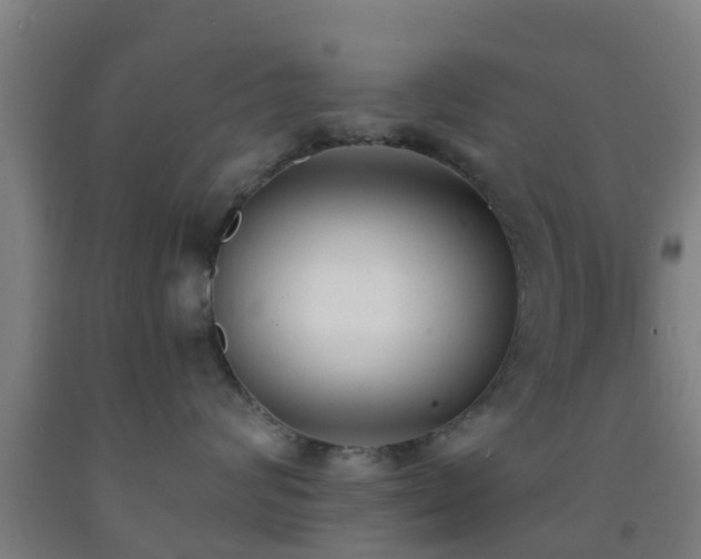 X0000093090624200709261230