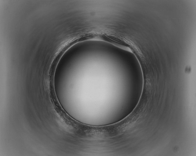 X0000093090626200709261229