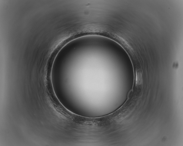 X0000093090627200709261229