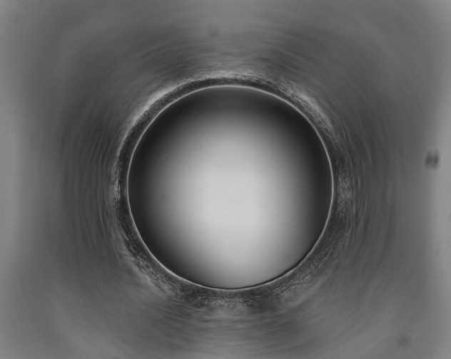 X0000093090628200709261229