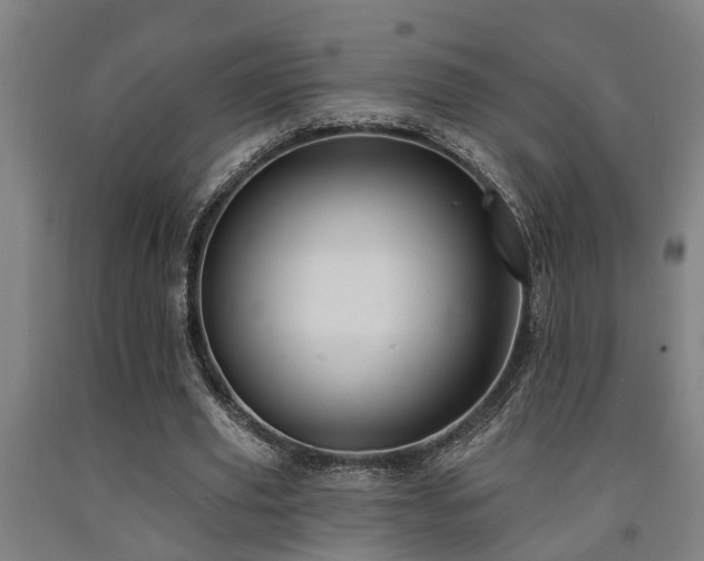 X0000093090629200709261229