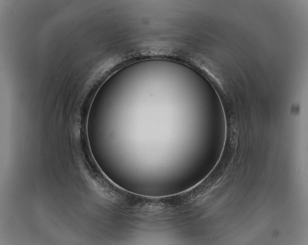 X0000093090631200709261229