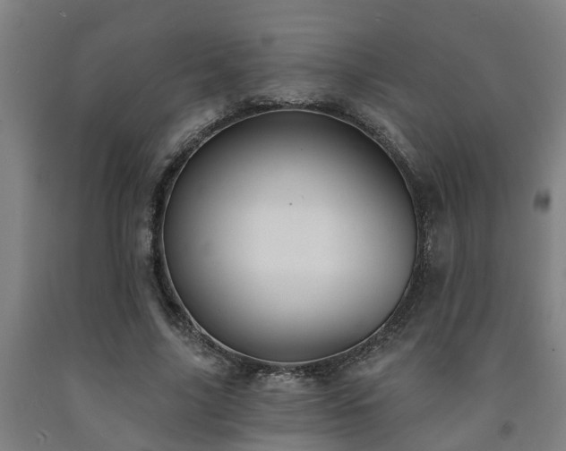 X0000093090635200709261229