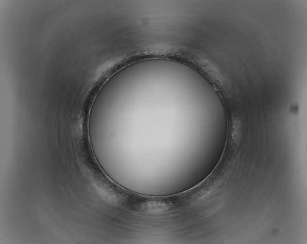 X0000093090636200709261230