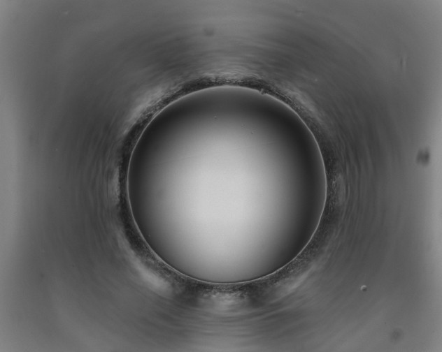 X0000093090638200709261230