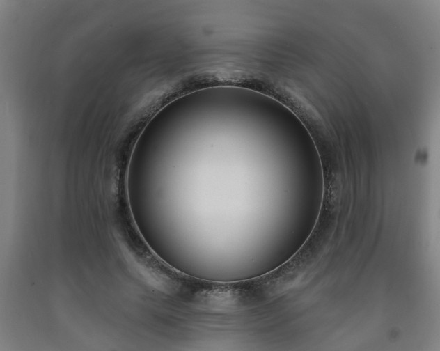 X0000093090639200709261230