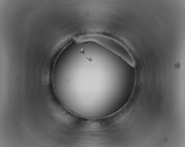 X0000093090640200709261230