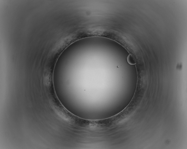 X0000093090641200709261230