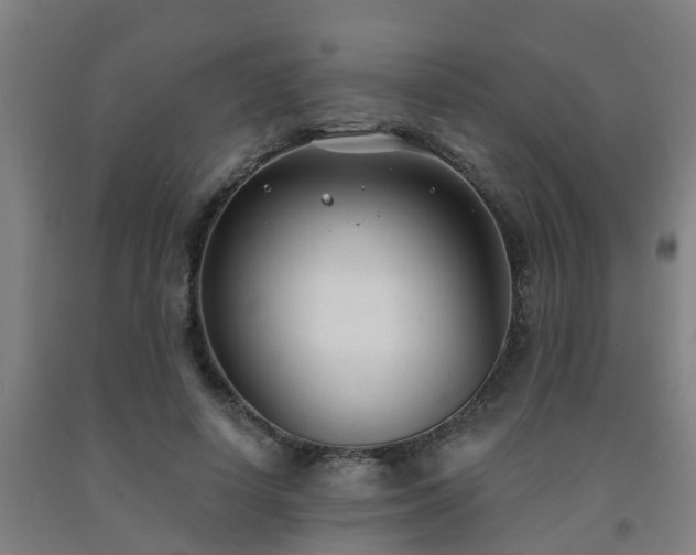X0000093090642200709261230