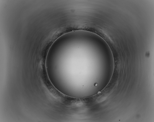 X0000093090643200709261230