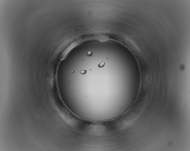 X0000093090644200709261230