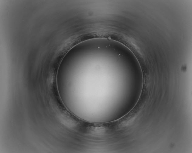 X0000093090645200709261230