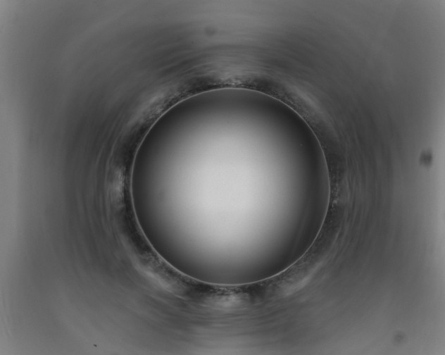 X0000093090646200709261230