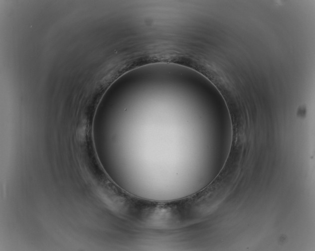 X0000093090647200709261230