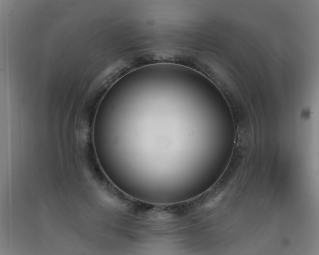 X0000093090648200709261230