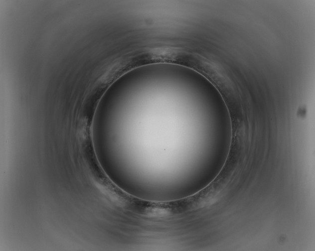 X0000093090649200709261230