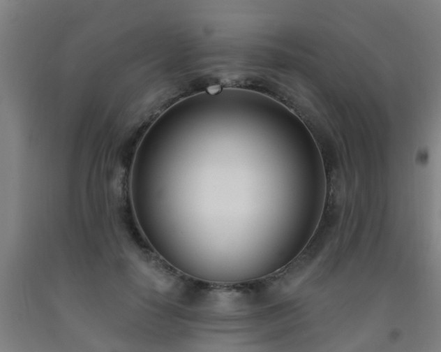 X0000093090650200709261230