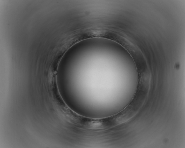 X0000093090651200709261230