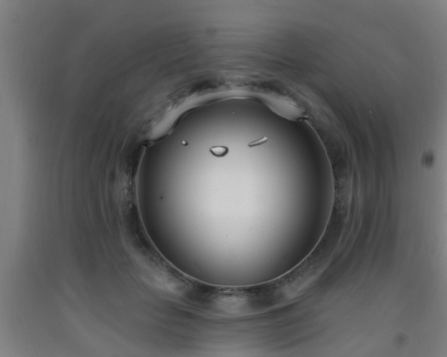 X0000093090653200709261230