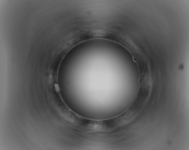 X0000093090655200709261230