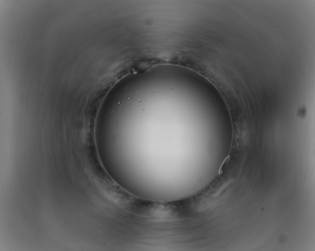 X0000093090656200709261230