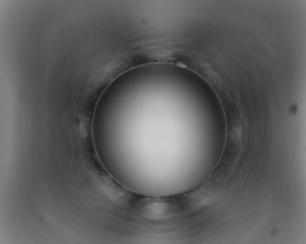 X0000093090658200709261230