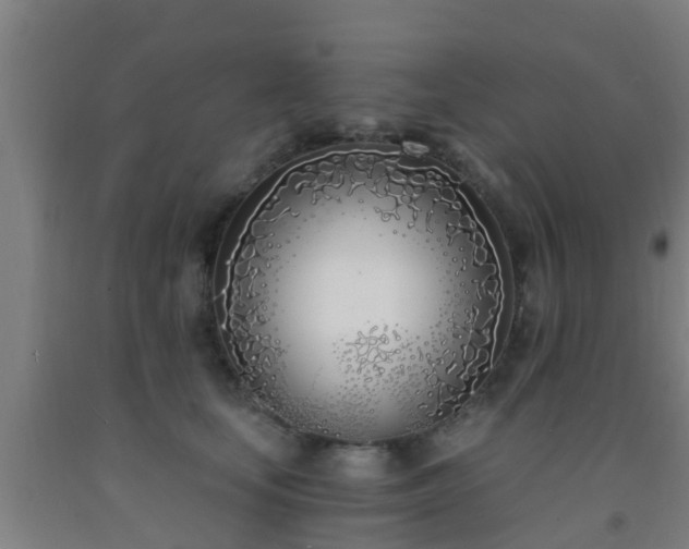 X0000093090659200709261230