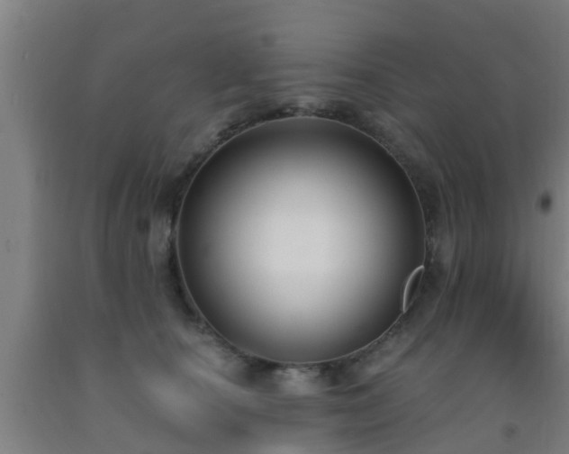 X0000093090660200709261230