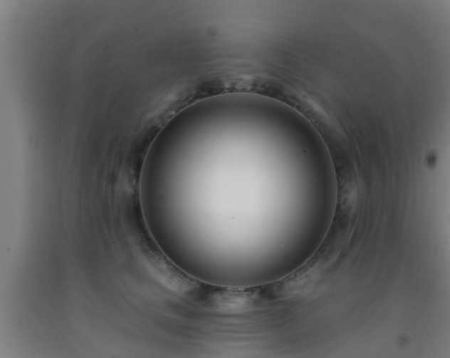 X0000093090661200709261230