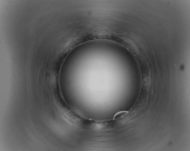 X0000093090662200709261230