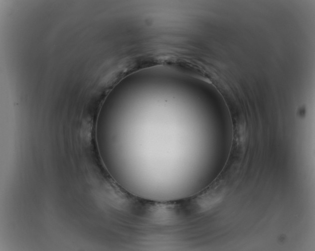 X0000093090664200709261230
