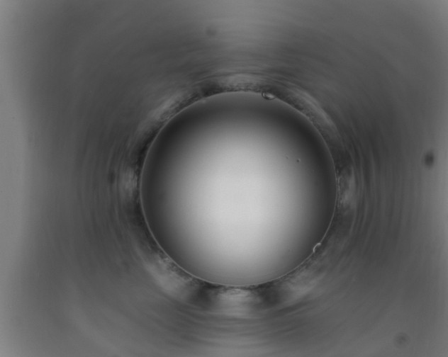 X0000093090669200709261230