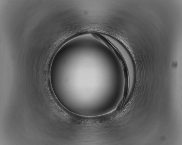 X0000093090673200709261229