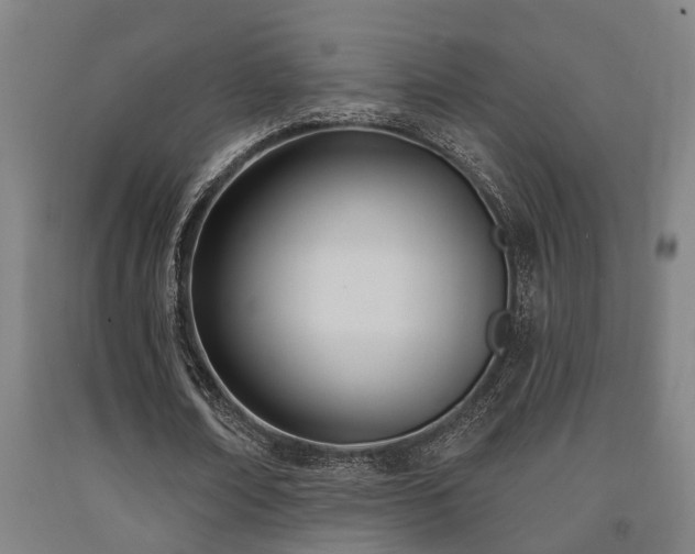 X0000093090674200709261229