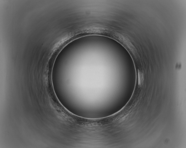 X0000093090675200709261229