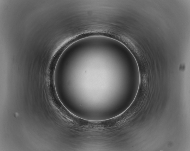 X0000093090676200709261229