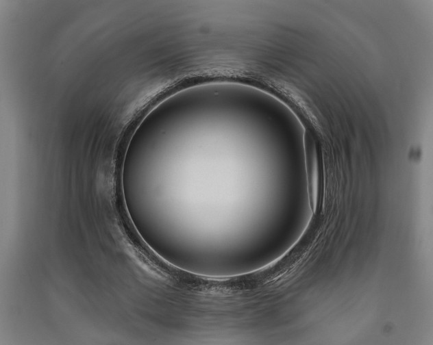 X0000093090677200709261229