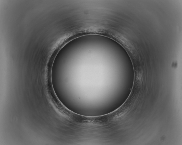 X0000093090678200709261229