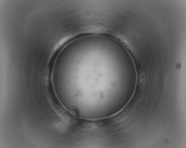 X0000093090679200709261229