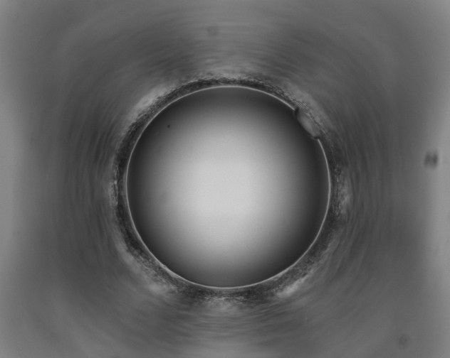 X0000093090680200709261229